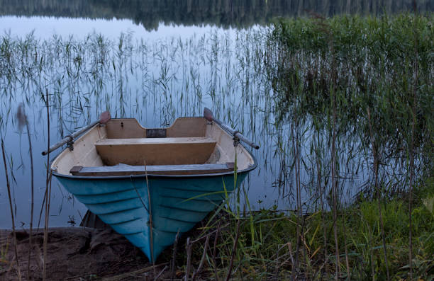 istock boat on the shore of a forest lake 1217854589