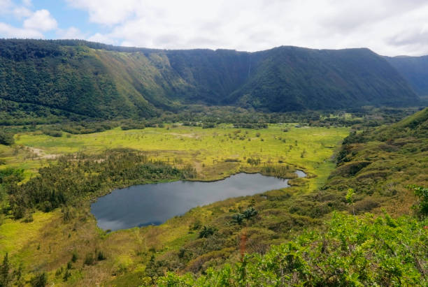 istock Beautiful Hawaii Big Island nature background. 1217856125