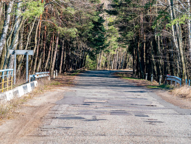 istock Damaged asphalt road in a pine forest. 1217856240