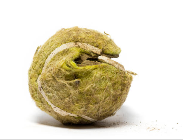 Chewed tennis ball against white background
