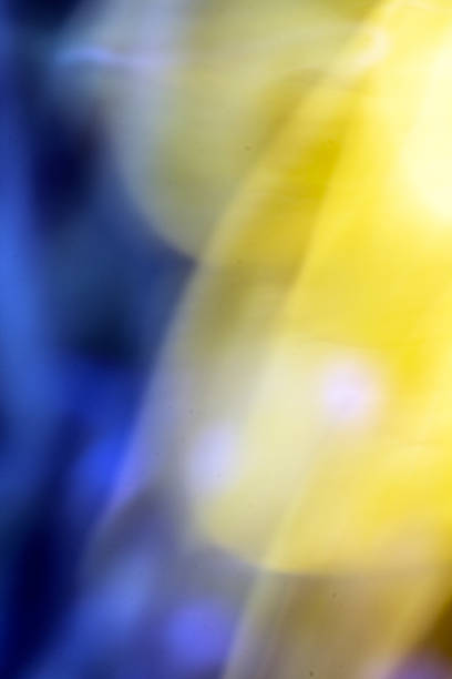 Vibrant Abstract Photographed Multicoloured Blurred Background