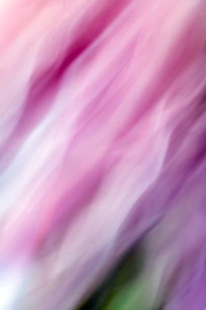 istock Vibrant Abstract Photographed Multicoloured Blurred Background 1217859567