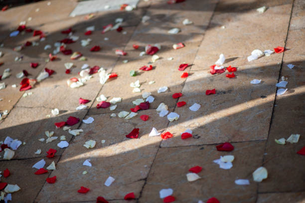 istock White and red rose petals on the ground 1217860614