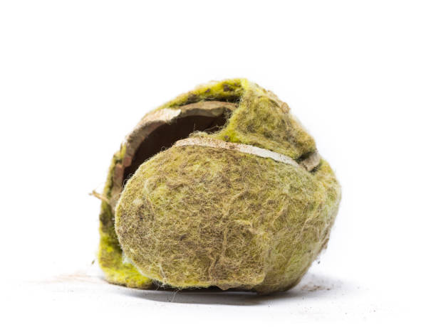 istock Chewed tennis ball against white background 1217861684