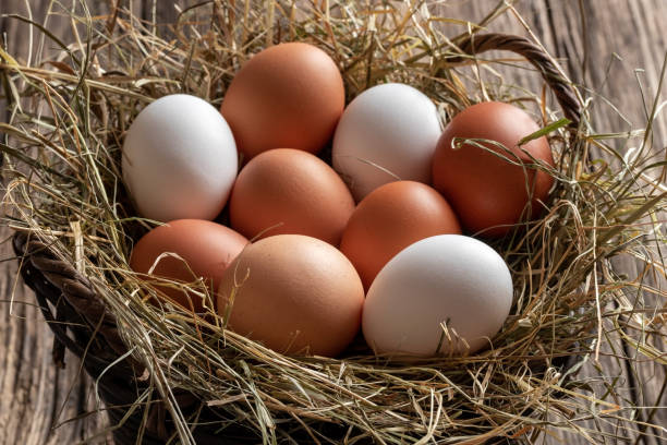 istock Raw hen eggs in a wicker basket 1217862717