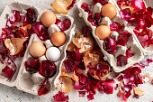 Raw eggs in cartons with onion peels