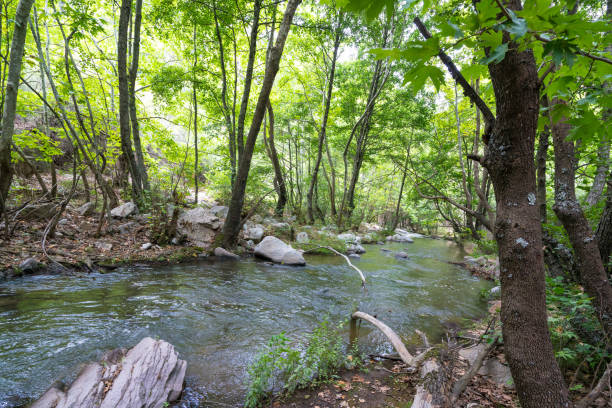 istock Green canyon at Turkey 1217863215
