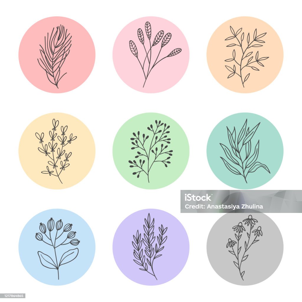 Collection Of Highlight Story Covers For Social Media Round Vector  Composition With Flowers And Brahches Tender Colors For Your Cosmetic Eco  Garden Blog Or Website Stock Illustration - Download Image Now - iStock