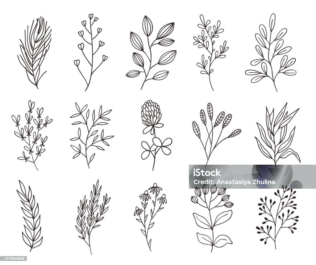 Ilustración de Flores Y Ramas Minimalistas Hierbas De Arte De Línea Conjunto De Icono De Resaltado Dibujado A Mano Elementos Botánicos Para El Diseño De Logotipos Para Estilo Ecológico Cafetería Tienda Blog Ilustración de Flores Y Ramas Minimalistas Hierbas De Arte De Línea Conjunto De Icono De Resaltado Dibujado A Mano Elementos Botánicos Para El Diseño De Logotipos Para Estilo Ecológico Cafetería Tienda Blog