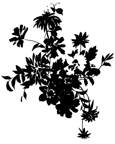 Black ink tattoo silhouettes of garden plants and wild flowers bouquet. Summer floral illustration isolated on white. Florals shadows ornament.