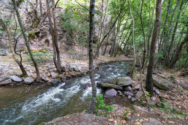 istock Green canyon at Turkey 1217866232