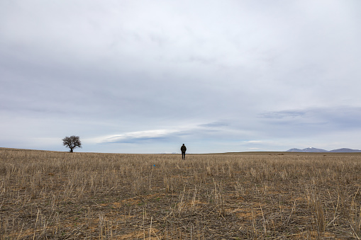 Single tree and lonely man in a field.