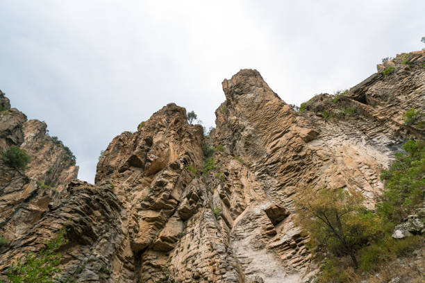 Asia, Balikesir, mountains, Crete, Kazdagi - Turkey