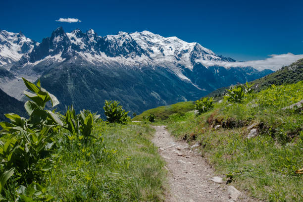 tour du mont blanc trail leading towards mont blanc massif - aiguille du midi photos et images de collection