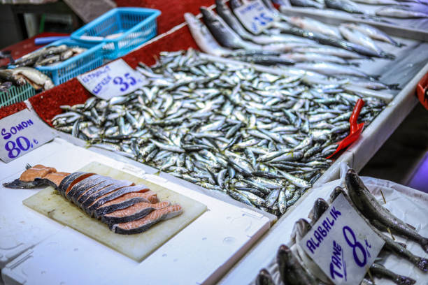 istock Fish Market And Fresh Fish Protected By ice 1217867555