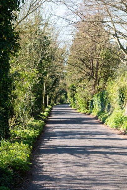 istock Sparepenny Lane in Eynsford, England 1217867758