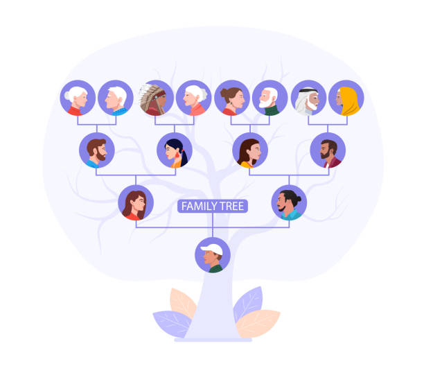 Family History Tree 2 Family tree of a single man showing his forefathers from great grandparents to grandparents to parents, vector illustration family trees stock illustrations