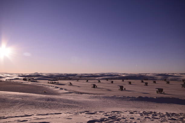 schöne sanddünen mit gebauten strukturen, die sich über den horizont während eines schönen idyllischen sonnenaufgangs gegen klaren lebendigen himmel erstrecken - new mexico landscape sky ethereal stock-fotos und bilder