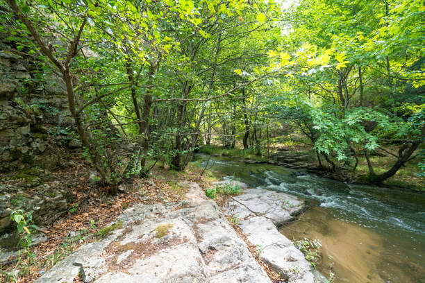 istock Green canyon at Turkey 1217868189