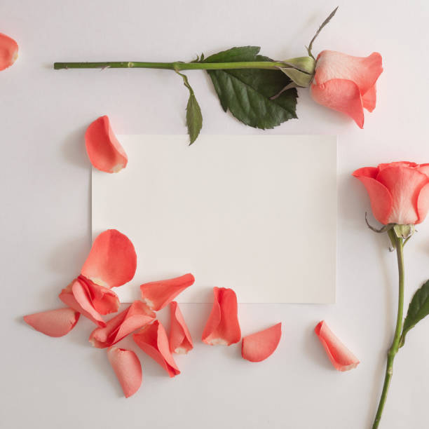 istock Blank paper greeting card, envelope with rose and petals on a white background 1217869462