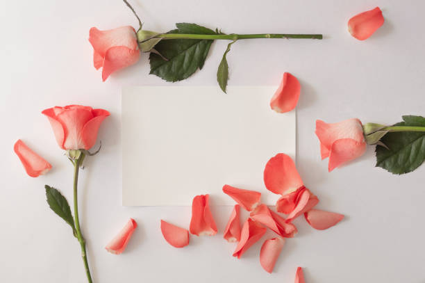 istock Blank paper greeting card, envelope with rose and petals on a white background 1217869463