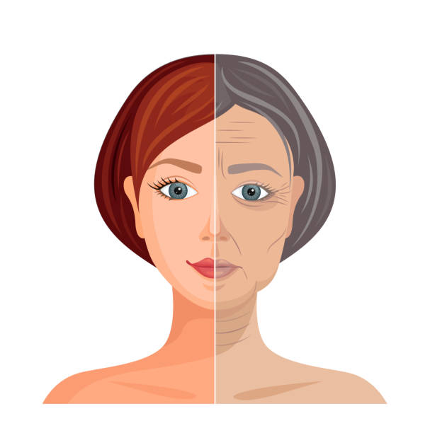 istock Illustration of an aging face. The process of withering skin. Vector. 1217871190