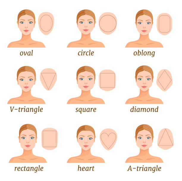 Ilustración de Mujeres Con Diferentes Formas Faciales Vector y más Vectores Libres de Derechos de Cara humana - Cara humana, Forma, Mecanografiar - iStock Ilustración de Mujeres Con Diferentes Formas Faciales Vector y más Vectores Libres de Derechos de Cara humana - Cara humana, Forma, Mecanografiar - iStock