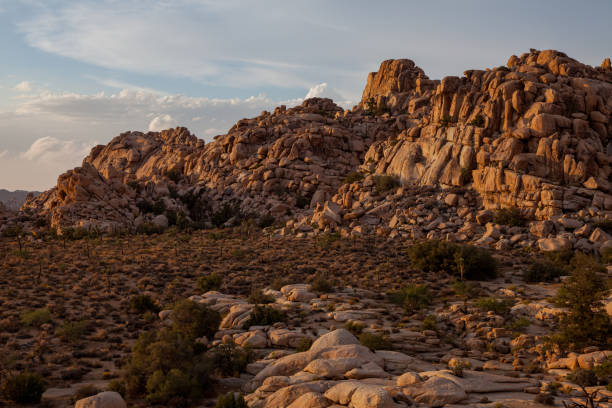 istock Gneiss rocks at Joshua Tree 1217874413