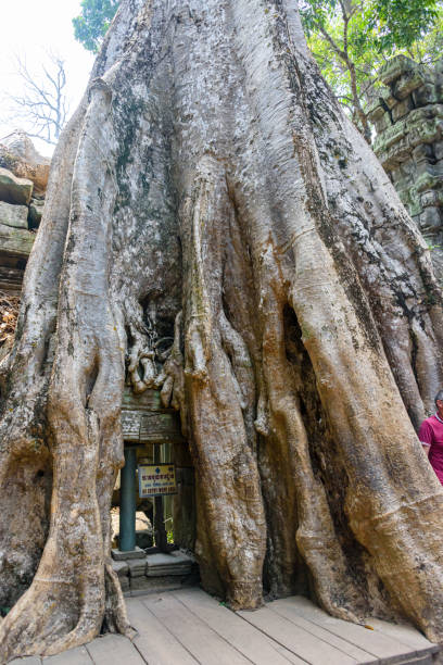 istock Angkor Thom, Siem Reap, Cambodia 1217875451