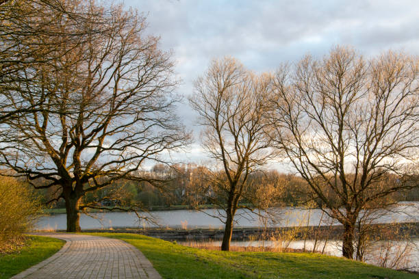 Dusk in spring at Obersee in Bielefeld, East Westphalia.