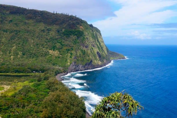 istock Beautiful Hawaii Big Island nature background. 1217876093
