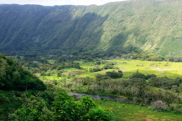 Photo of Beautiful Hawaii Big Island nature background.