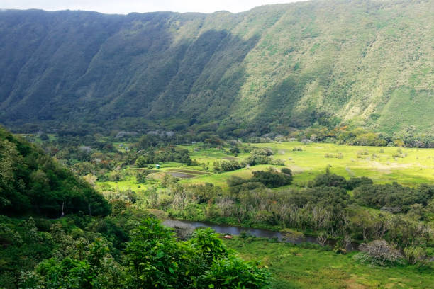 beautiful hawaii big island nature background. - hamakua coast imagens e fotografias de stock