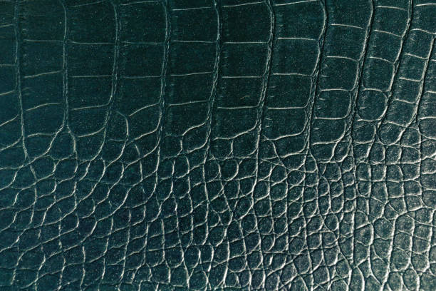istock Vintage stylish crocodile skin texture 1217876506