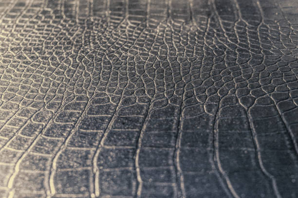 istock Vintage stylish crocodile skin texture 1217877068