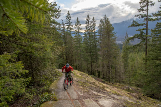 istock Mountain biker rides bike down challenging slab feature 1217877438