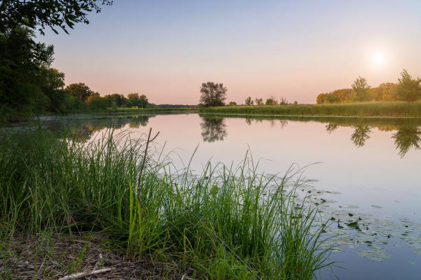 istock Small quiet river against the forest in the sunlight 1217883981