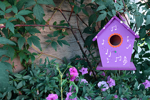 Purple birdhouse hanging on a tree surrounded by petunia flowers