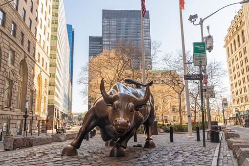 New York City, NY, USA - April 6, 2020: The iconic Charging Bull statue installed at Broadway & Whitehall Street in Manhattan Downtown, one of the most popular tourist locations in New York City, is not surrounded by the usual crowd because the city is deserted during the state of emergency triggered by the COVID-19 pandemic.