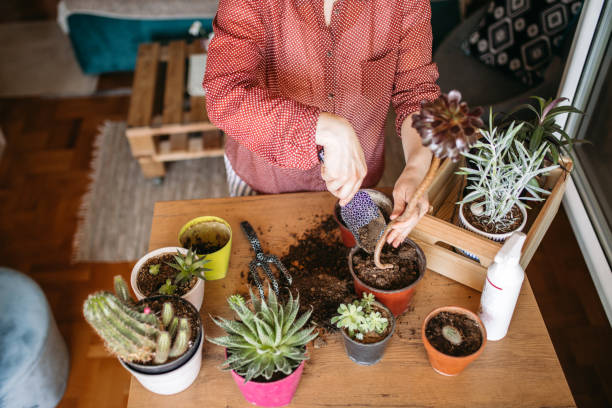 istock Free time for little house gardening 1217888131