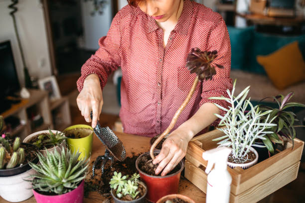 istock Free time for little house gardening 1217888206