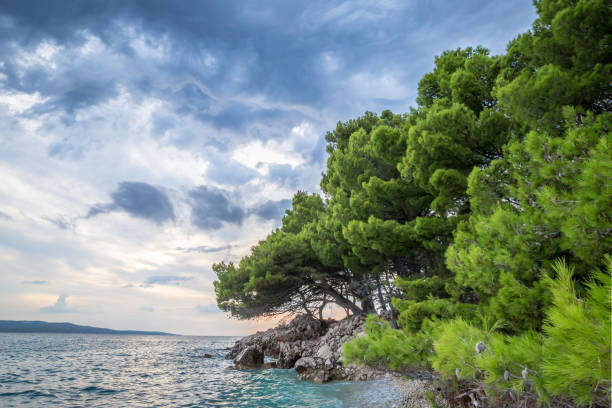 istock View of Adriatic sea in summer 1217890825