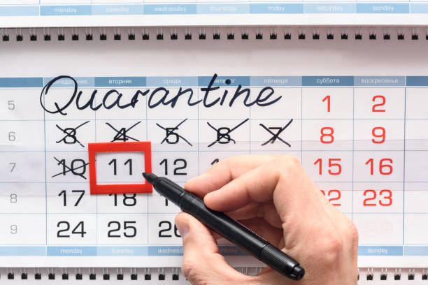 istock Hand crosses the next quarantine day with a black felt-tip pen 1217891800