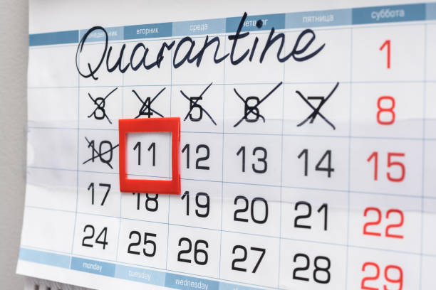 istock Non-working days are indicated on the calendar due to quarantine 1217891803