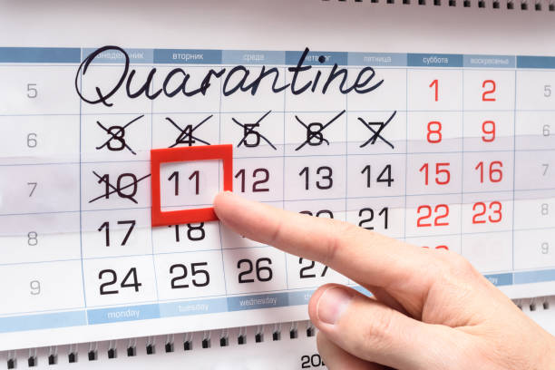 istock Hand indicates Tuesday of the next week after quarantine 1217891812