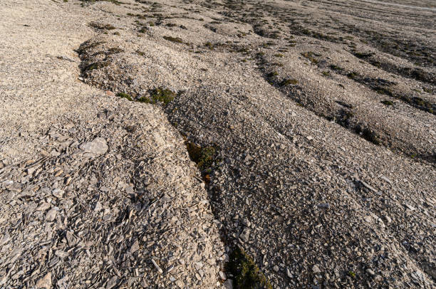 Solifluction is a collective name for gradual mass wasting slope processes related to freeze-thaw activity. Solifluction lobes and sheets are types of slope failure and landforms. Mass movement of soil affected by alternate freezing and thawing. Characteristic of saturated soils in high latitudes, both within and beyond the permafrost zone. solifluction es un nombre colectivo para los procesos de talud de despilfarro masivo gradual relacionados con la actividad de congelación-descongelación. los lóbulos y las láminas de solifluction son tipos de fallas en la pendiente y formas de tierra.