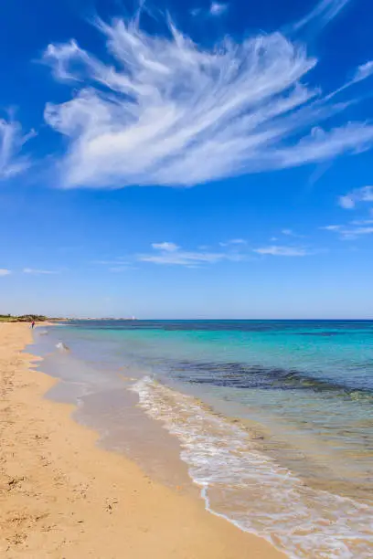 The Regional Natural Park Dune Costiere, from Torre Canne to Torre San Leonado, covers the territories of Ostuni and Fasano on approximately 1,100 acres along eight kilometers of coastline and extends until the internal agricultural areas occupied by centuries-old olive groves and ancient farms. The park area is characterized by a high diversity of environments. Proceeding from the sea inland there are the beaches, the dunes, the wetland area behind the dunes, fossil dunes, lame and ancient olive groves. In the protected area there are numerous natural habitats, some of which are likely to disappear from the EU territory and require a special attention.