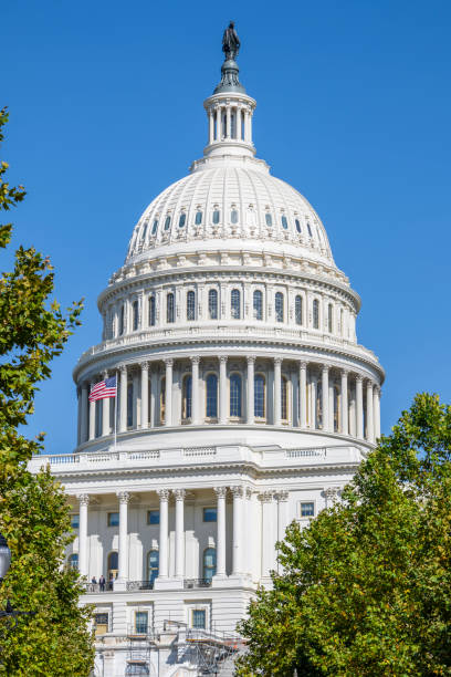 US Capitol US Capitol Building dome, Washington D.C. united states senate committee on health education labor and pensions stock pictures, royalty-free photos & images