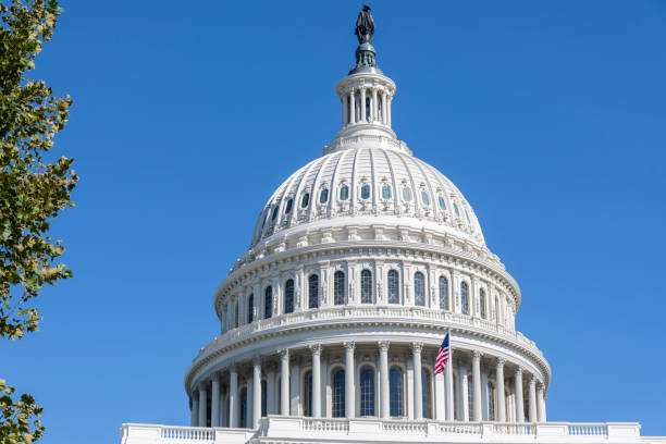 United States Capitol Building US Capitol building dome, Washington D.C. united states senate committee on health education labor and pensions stock pictures, royalty-free photos & images