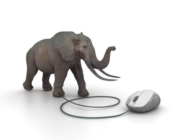 Elephant Computer Pointer 270+ Elephant In The Room Office Stock Photos, Pictures & Royalty-Free ...